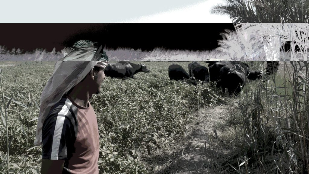 Can Iraq’s Renowned Qaimar Survive the Drought?